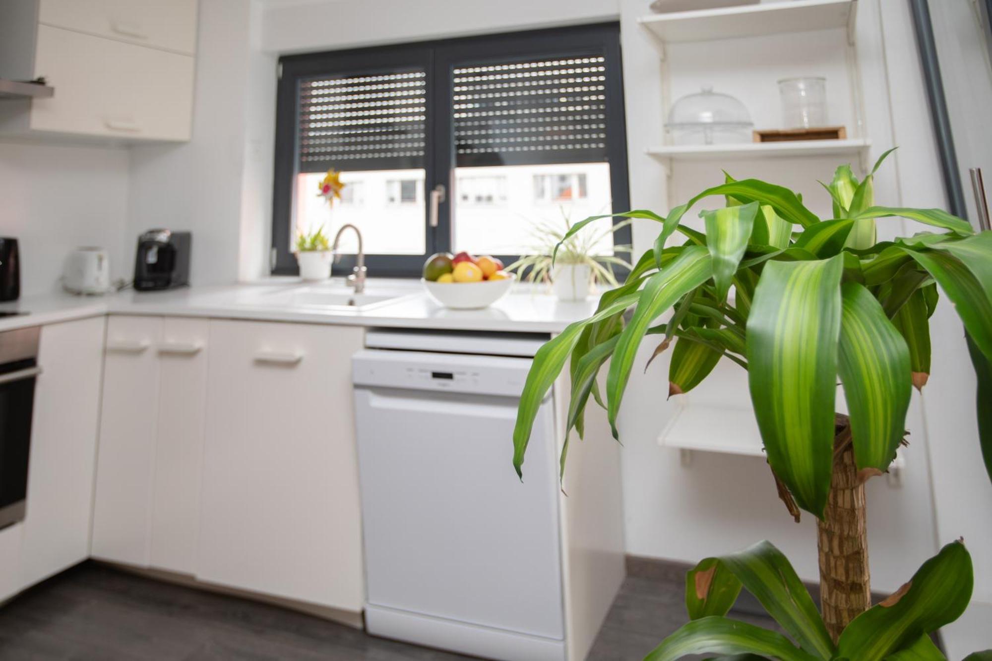 שטרסבורג Appartement Moderne Au Centre Ville מראה חיצוני תמונה