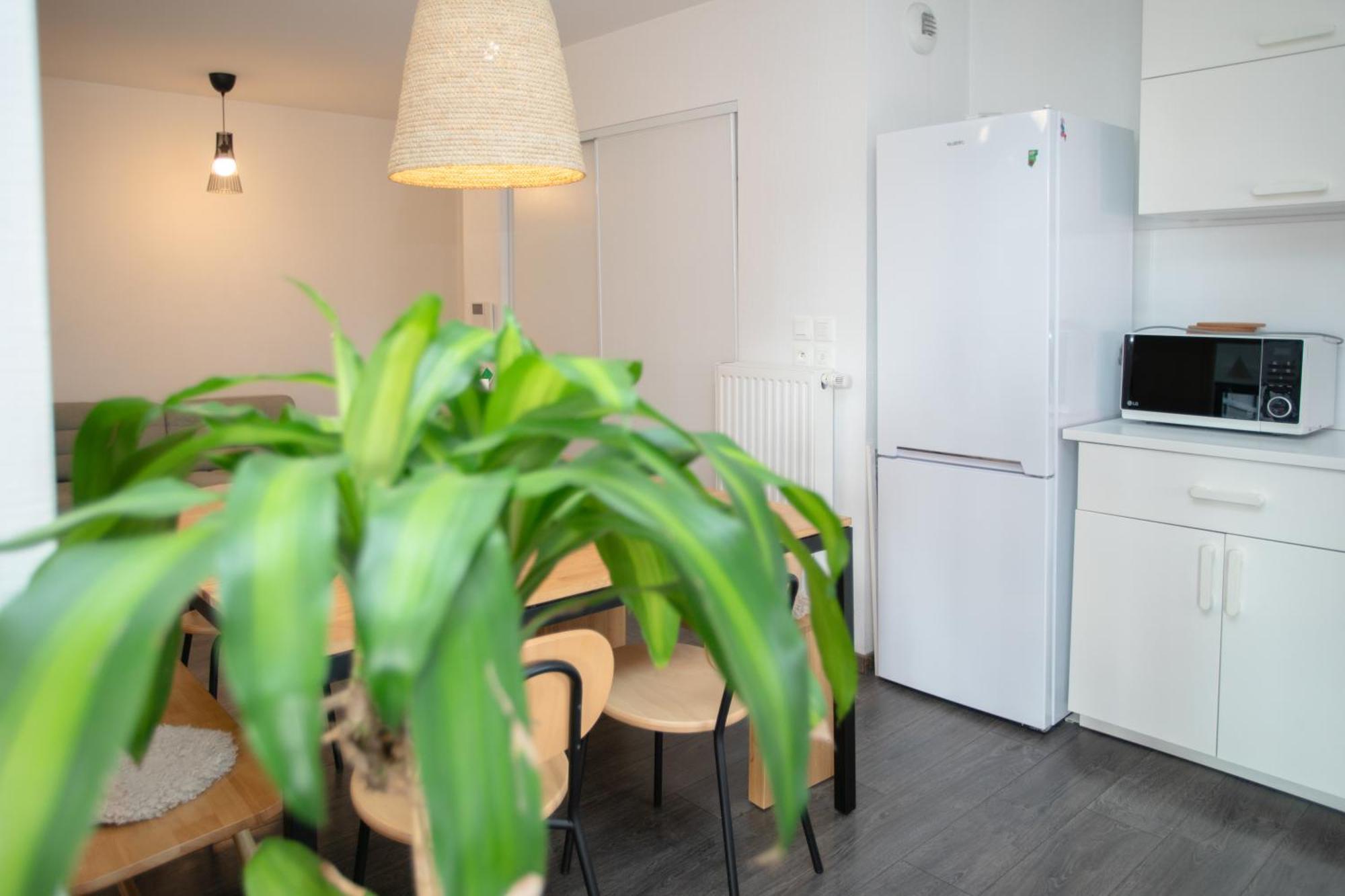 שטרסבורג Appartement Moderne Au Centre Ville מראה חיצוני תמונה